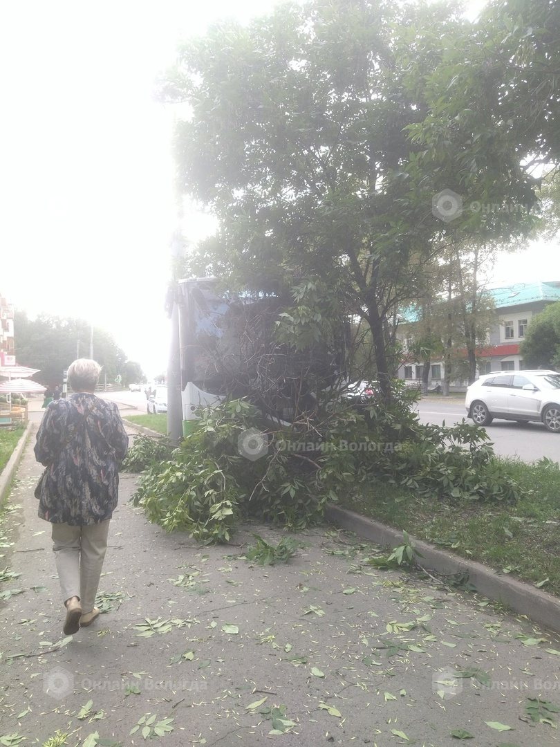 авария с троллейбусом Вологда