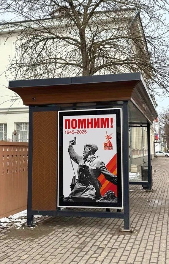 Тысячи цветов посадят в Вологде ко Дню Победы