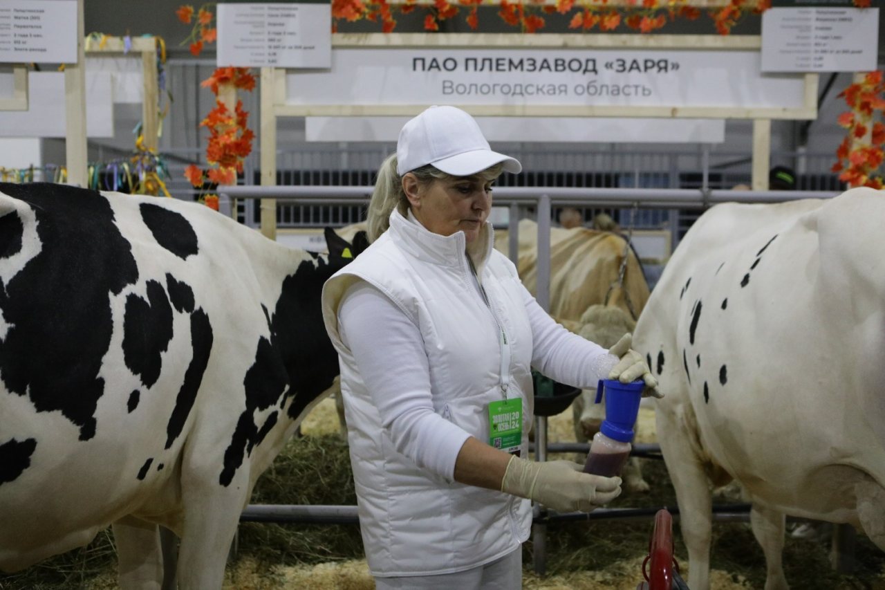 Москвичей накормят уникальными вологодскими продуктами