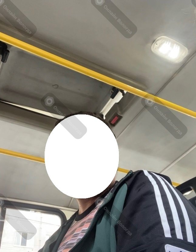 Вологду заполонили опасные неадекватные люди