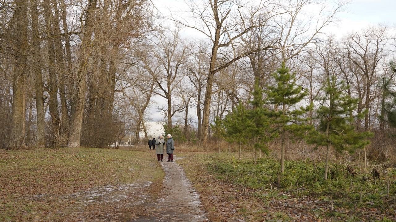 В Вологде началась подготовка ко второму этапу благоустройства Осановской рощи