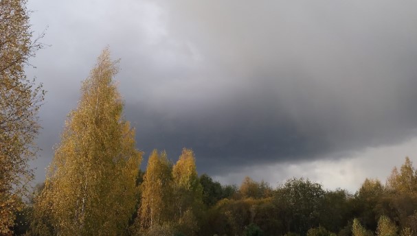 Погода