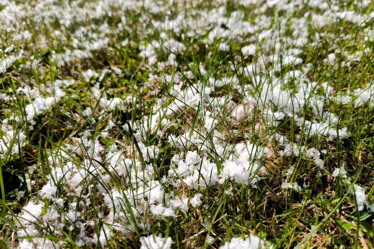 Минусовые температуры установятся в Вологодской области