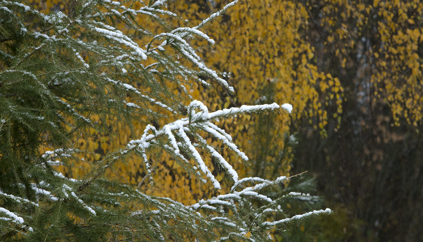 Северо-Запад России ждёт переменчивая погода