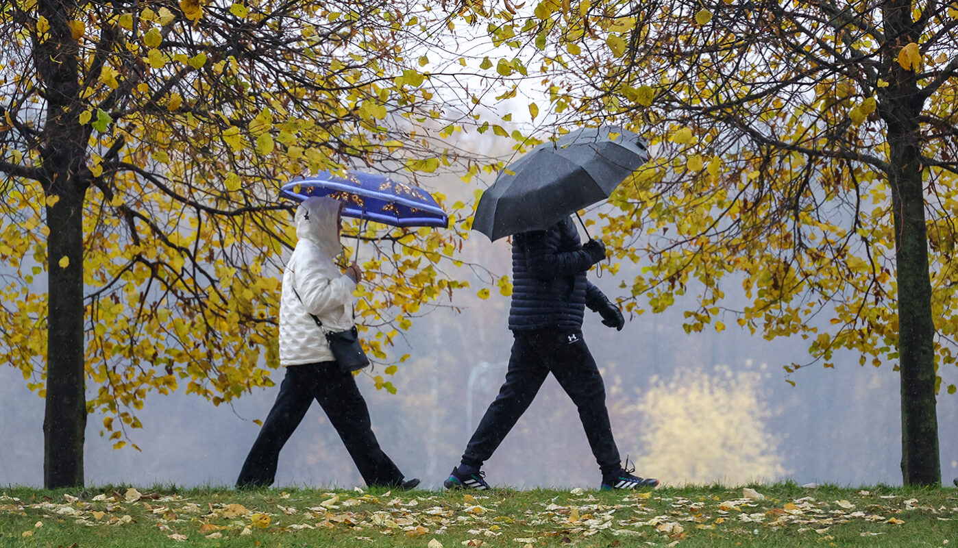 В Вологодской области будет теплее, чем обычно
