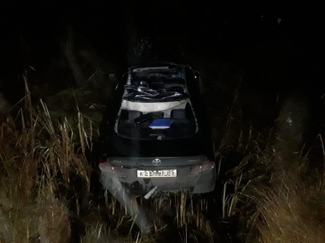 Авария с лосём унесла жизнь водителя