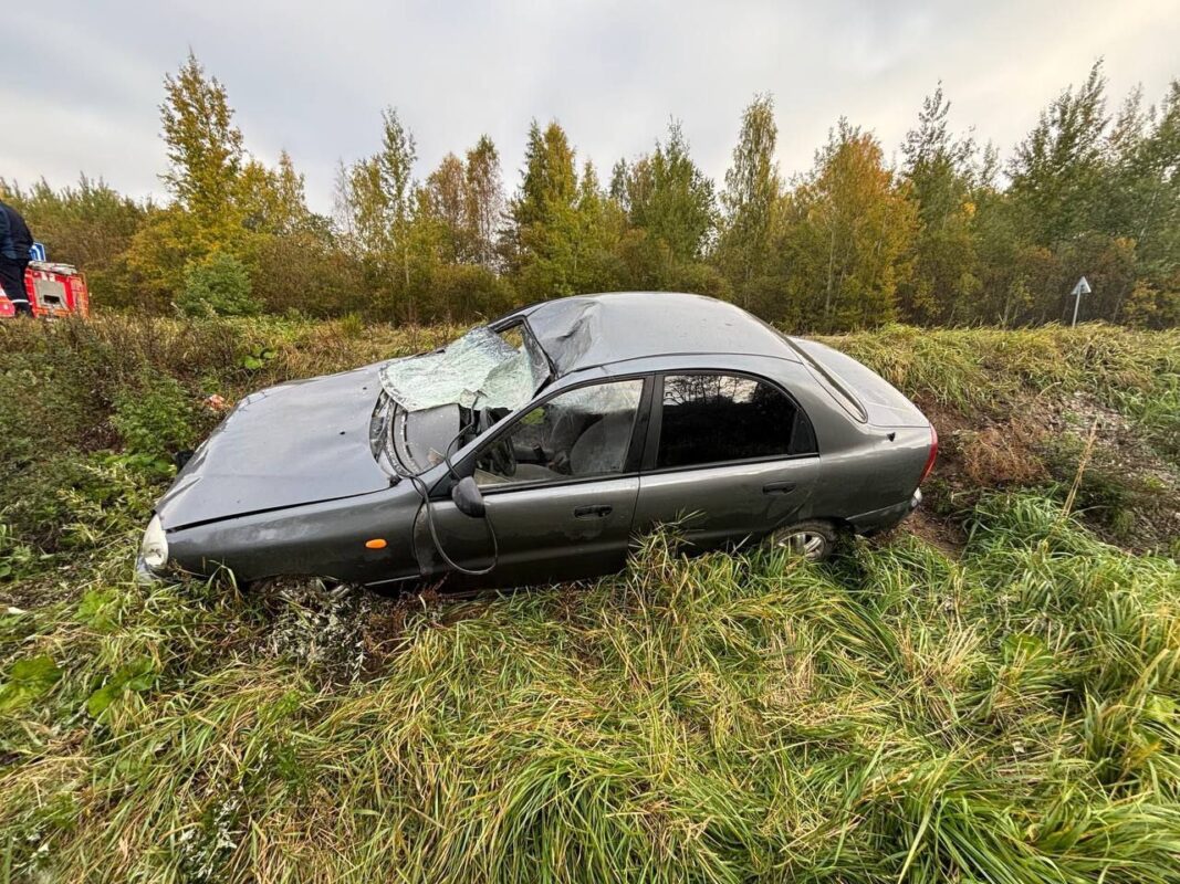 Под Череповцом водитель сбил лося