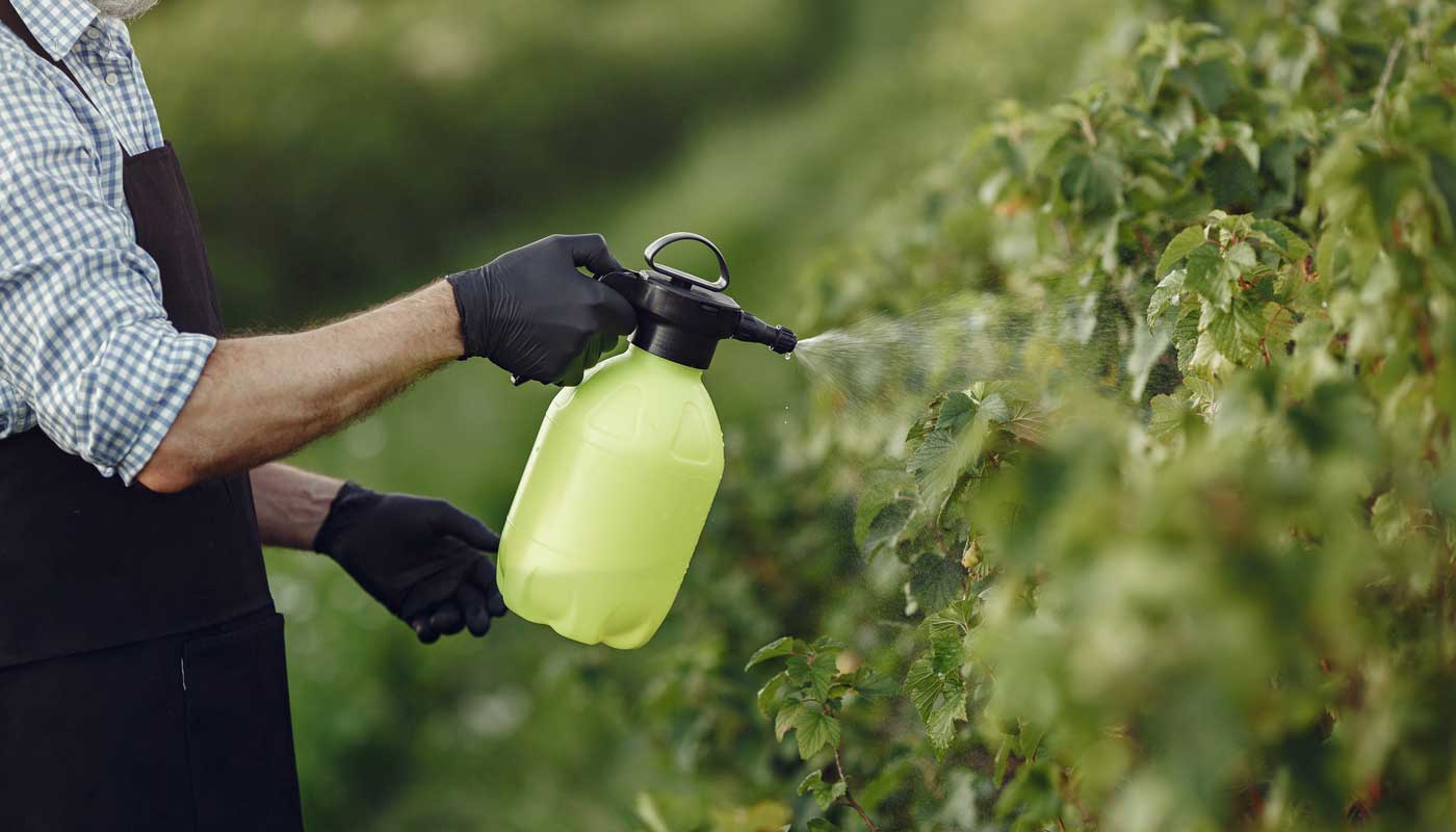 Как правильно обработать сад осенью