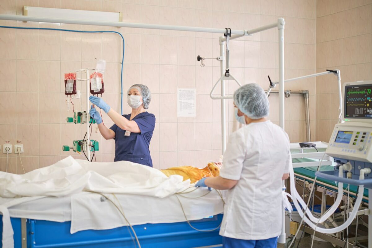 Медики спасли вологжанина с 60% ожогов тела