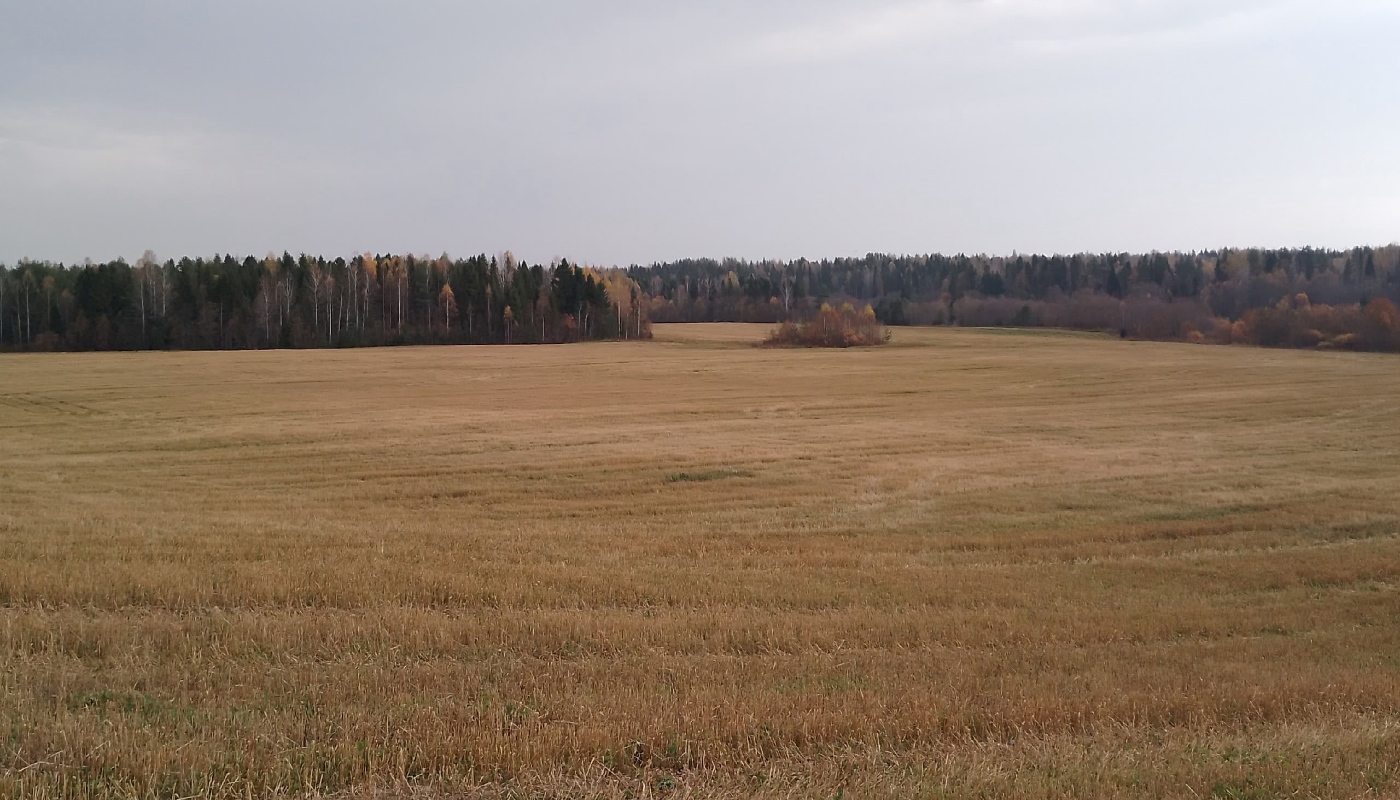 Погода