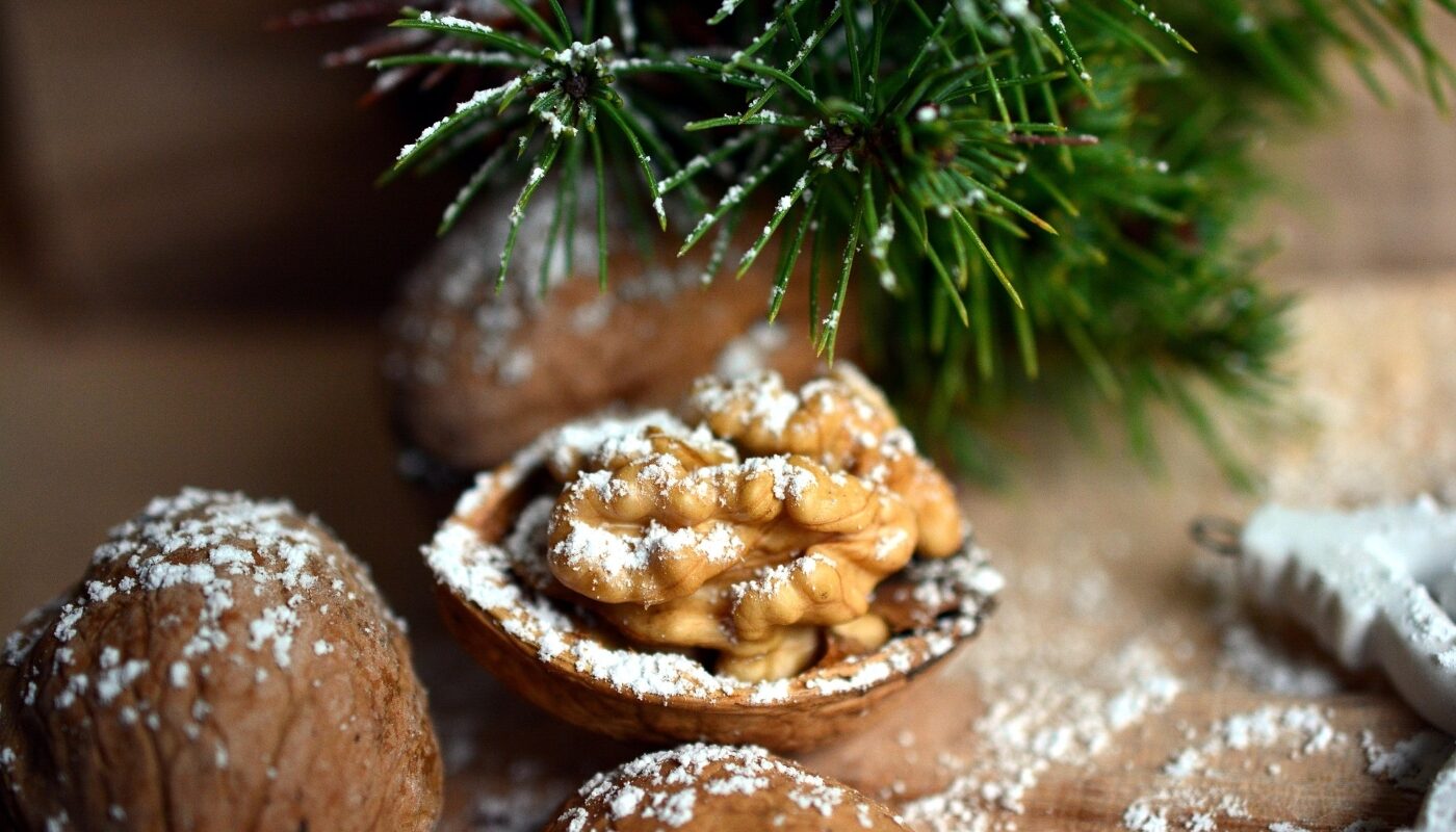 Еда грецкие орехи под елкой