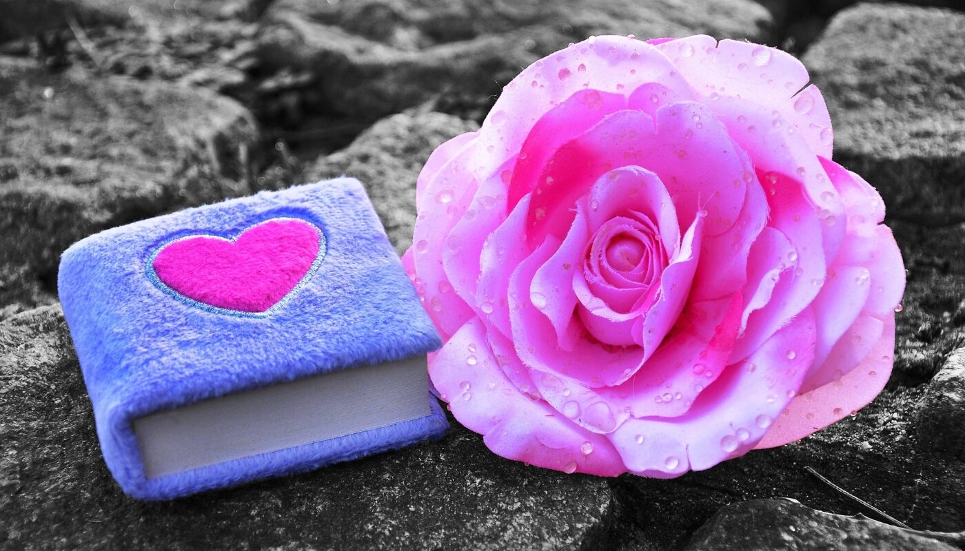 Голубой дневник с красным сердцем и розой