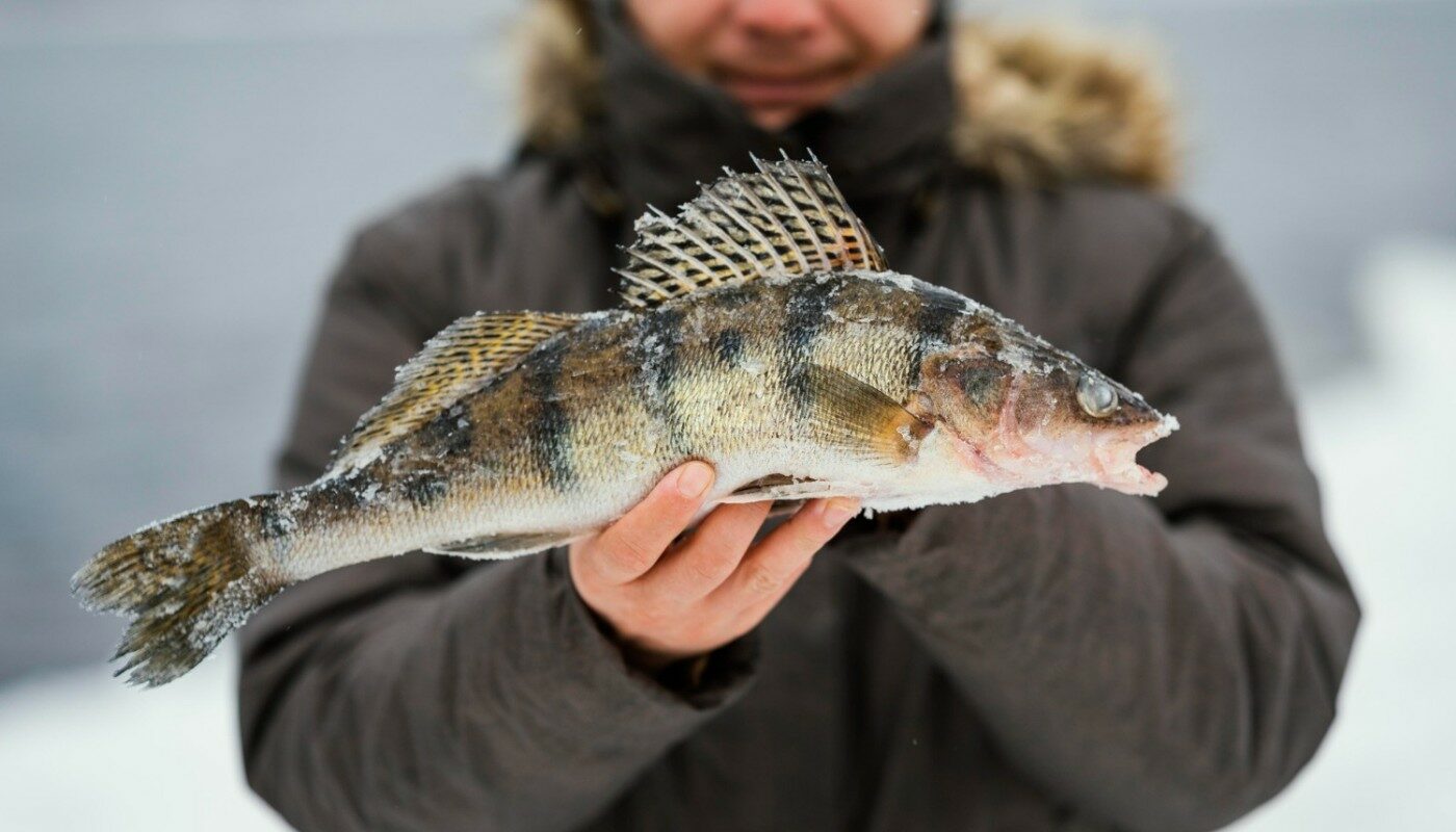 мужчина поймал рыбу