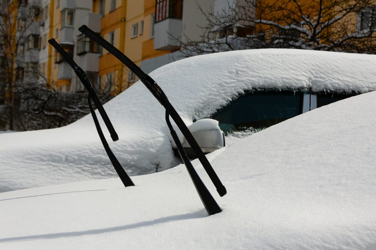 Синоптики рассказали, когда на Вологодчине сформируется снежный покров