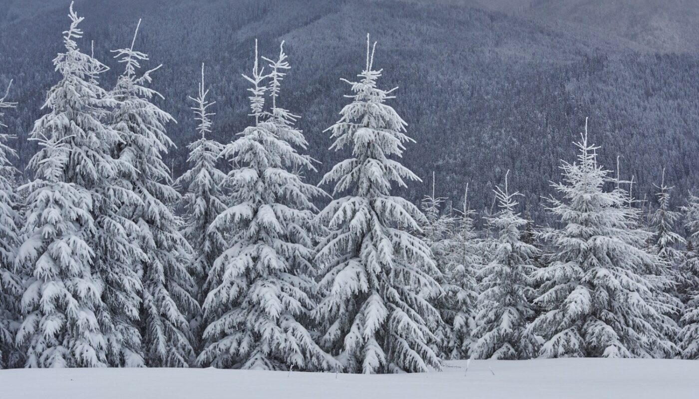 снег тайга горы