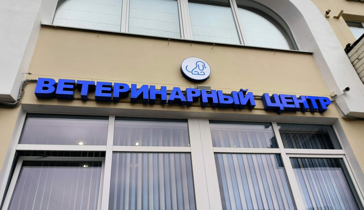 Валентина Матвиенко возмутилась «немыслимыми» ценами на услуги ветеринарных клиник в России