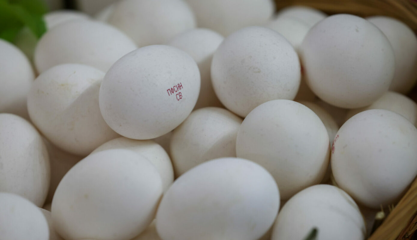 Крупнейшая птицефабрика России приостановила свою работу. Что будет с ценами