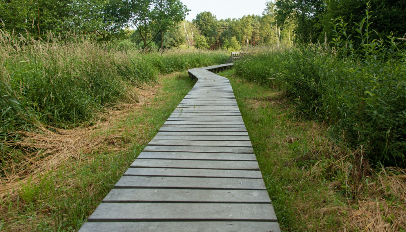 Садовая дорожка из досок уходит вдаль поля