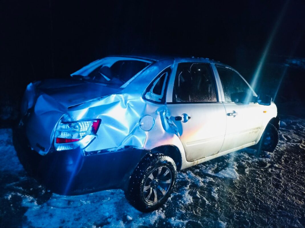 Вологжанин попал в ДТП из-за собаки