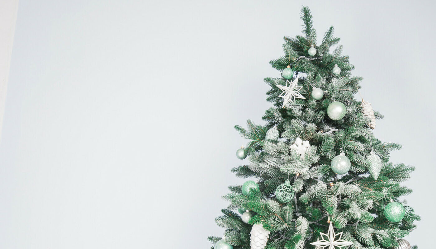 Ученые срочно призвали поменять новогоднюю елку. Успейте до 31 декабря