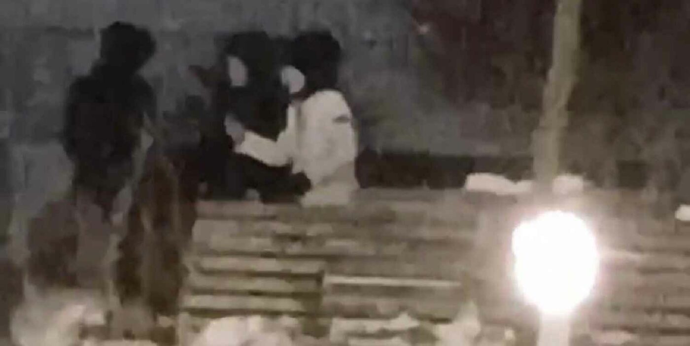 Подробности о бросании петарды в лицо ребенку в череповецком парке «Серпантин»