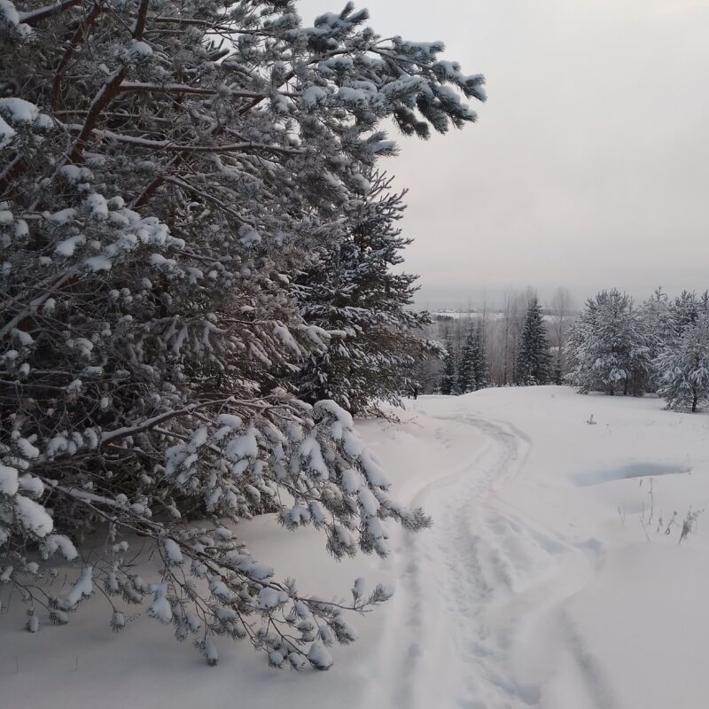В Вологодской области ожидается похолодание