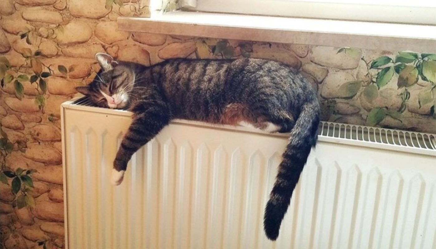 Администрация Вологды решила пока не выводить из эксплуатации котельную на улице Северная