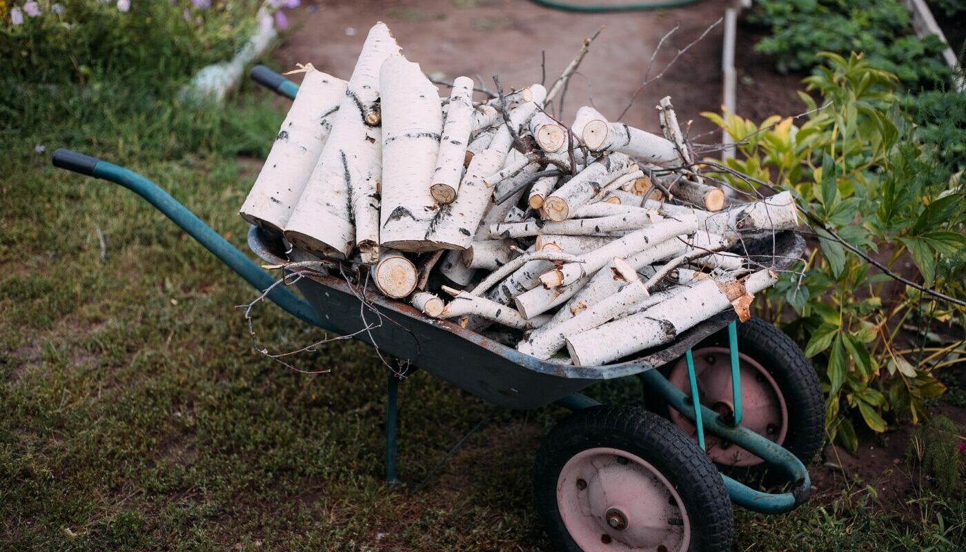 Такие дрова в печь класть нельзя: забивают дымоход сажей и портят  отопительный прибор