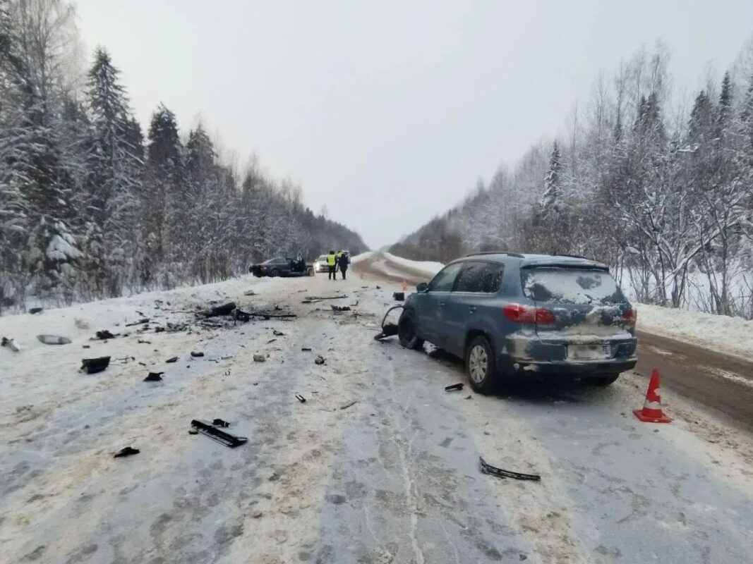 Двое детей пострадали в смертельном ДТП под Соколом