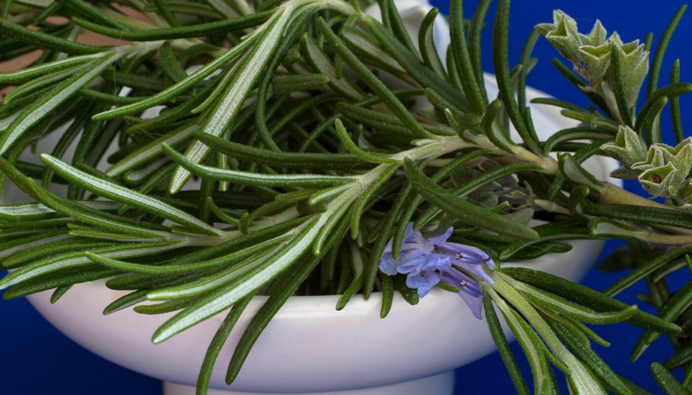 Сплю, как младенец: поставила эту пряность в спальне и засыпаю мгновенно