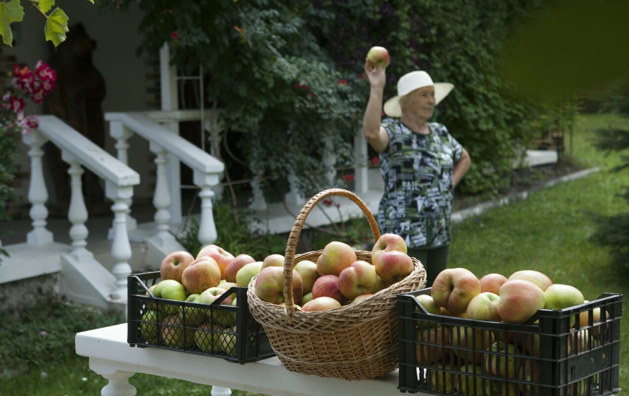 Самозанятым хотят запретить работать в некоторых отраслях экономики