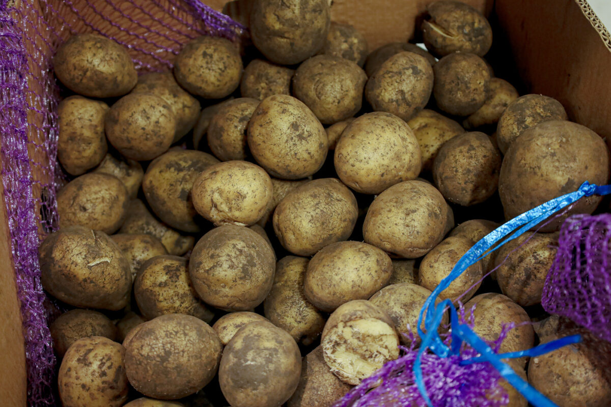 На Чукотке не хватает картофеля. Люди стоят по нескольку часов в очередях