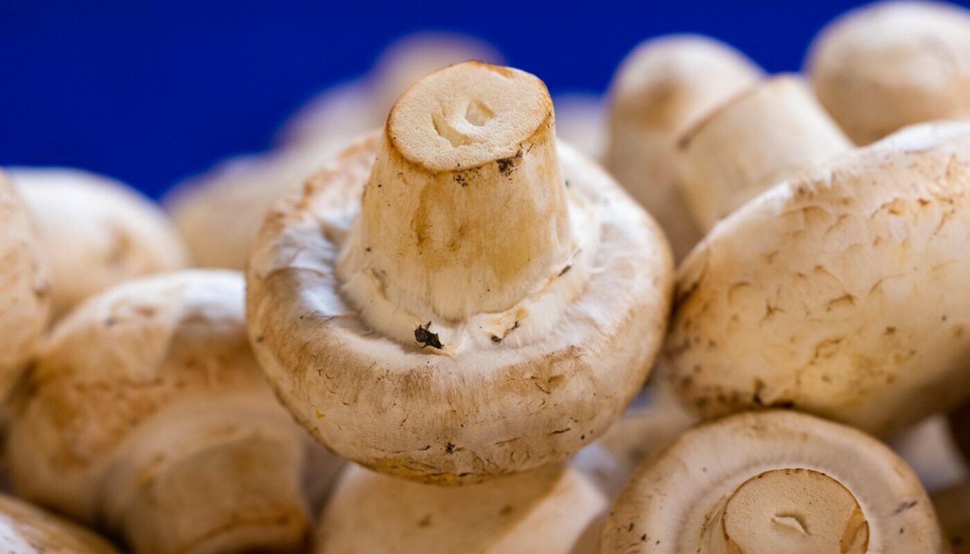 Изящная закуска из шампиньонов: роскошное угощение ресторанного уровня