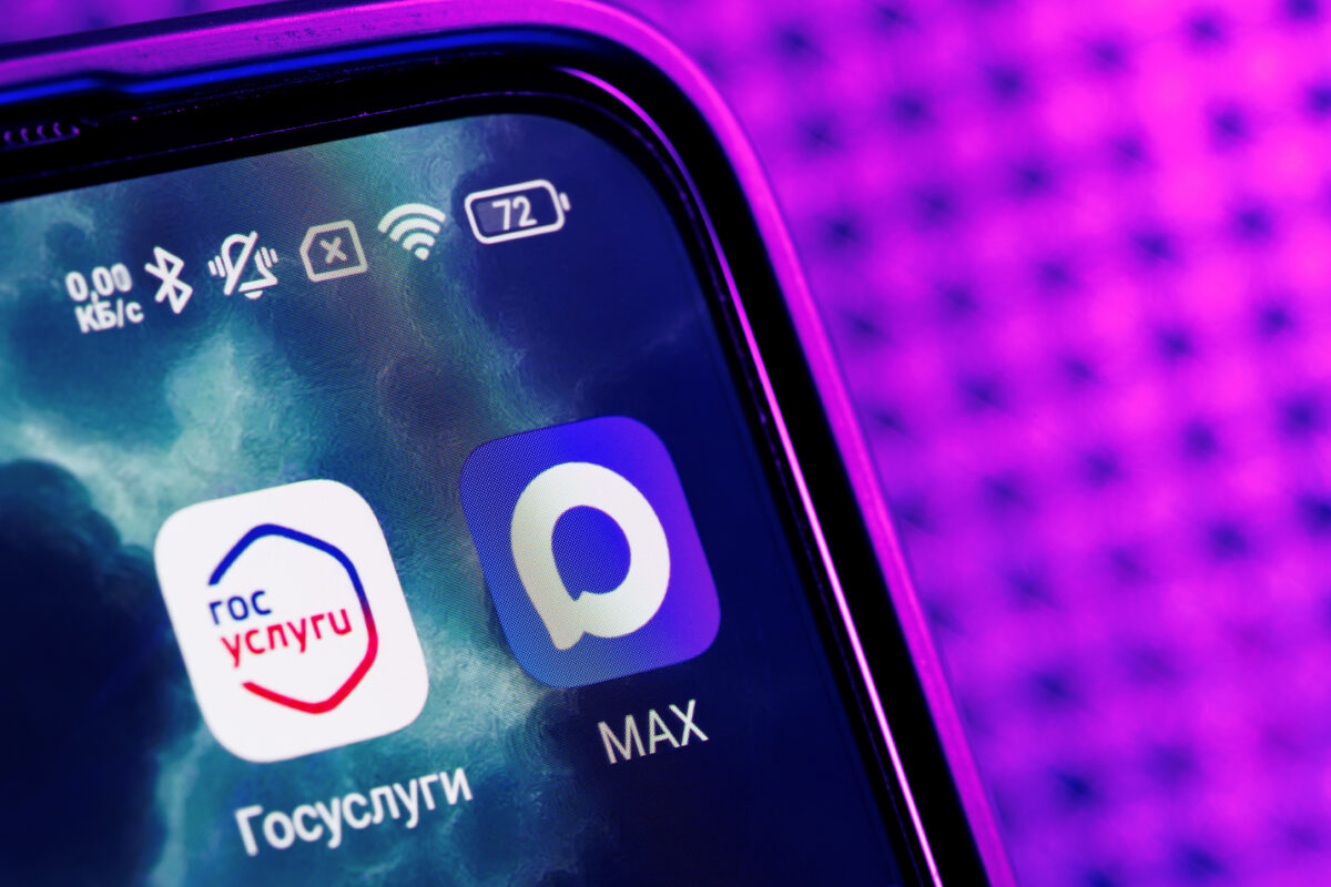 Должны работать сезонные циклы медведей и бабочек. В России предложили давать интернет только осенью и зимой