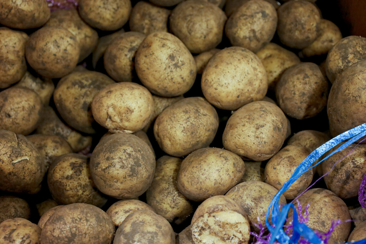 В России может появиться фиксированная цена на картофель