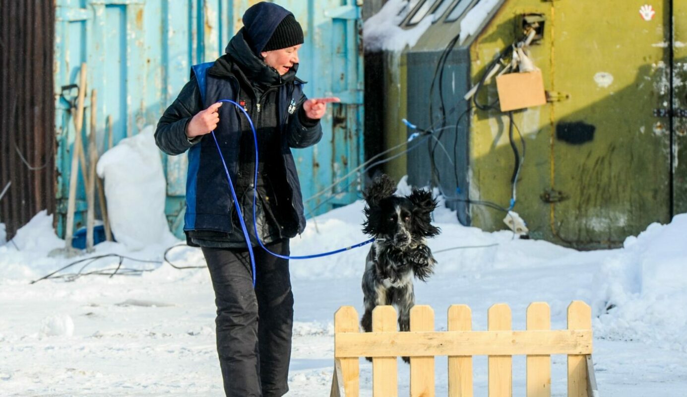 Россиян заставят выгуливать домашних собак по ГОСТу