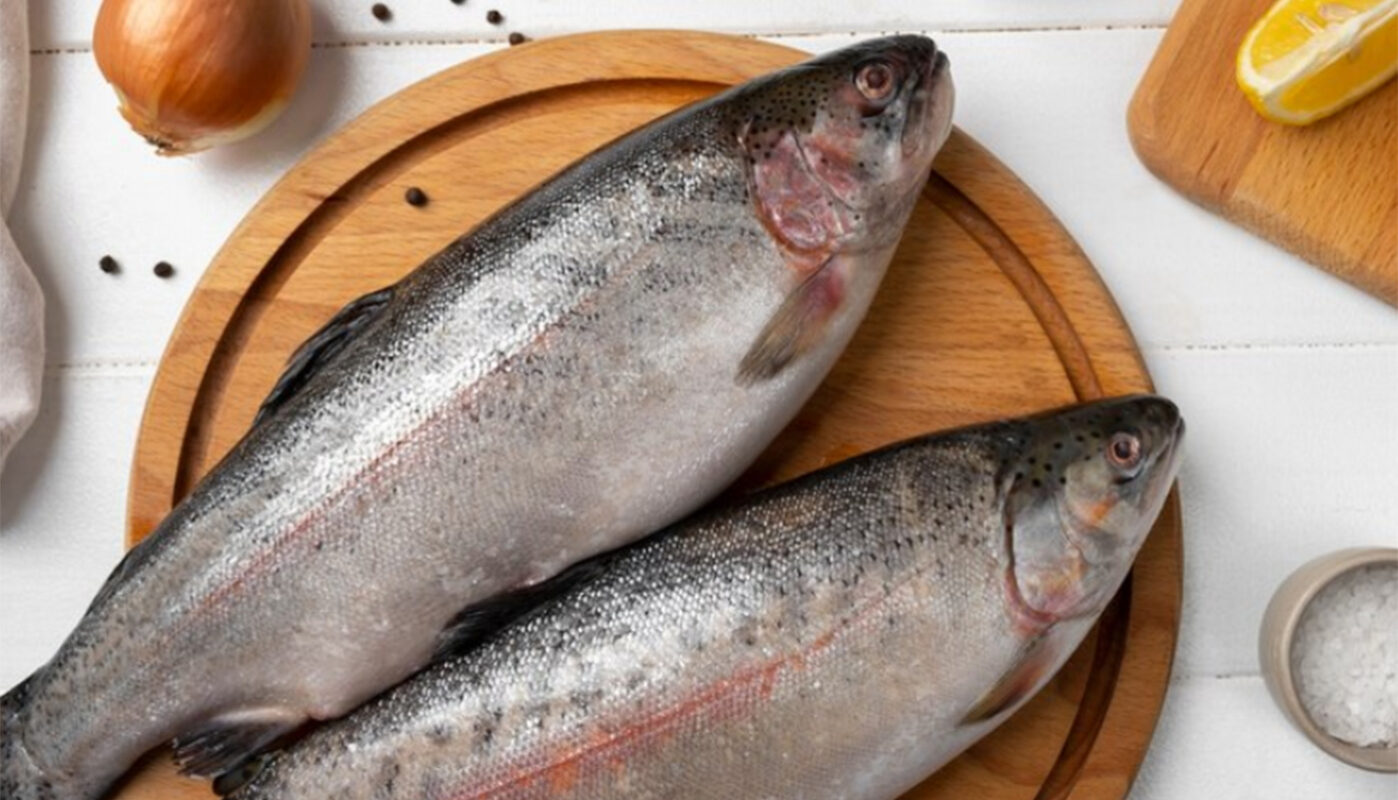 От 16% до 22% рыбы в вологодских магазинах не соответствуют гигиеническим нормативам