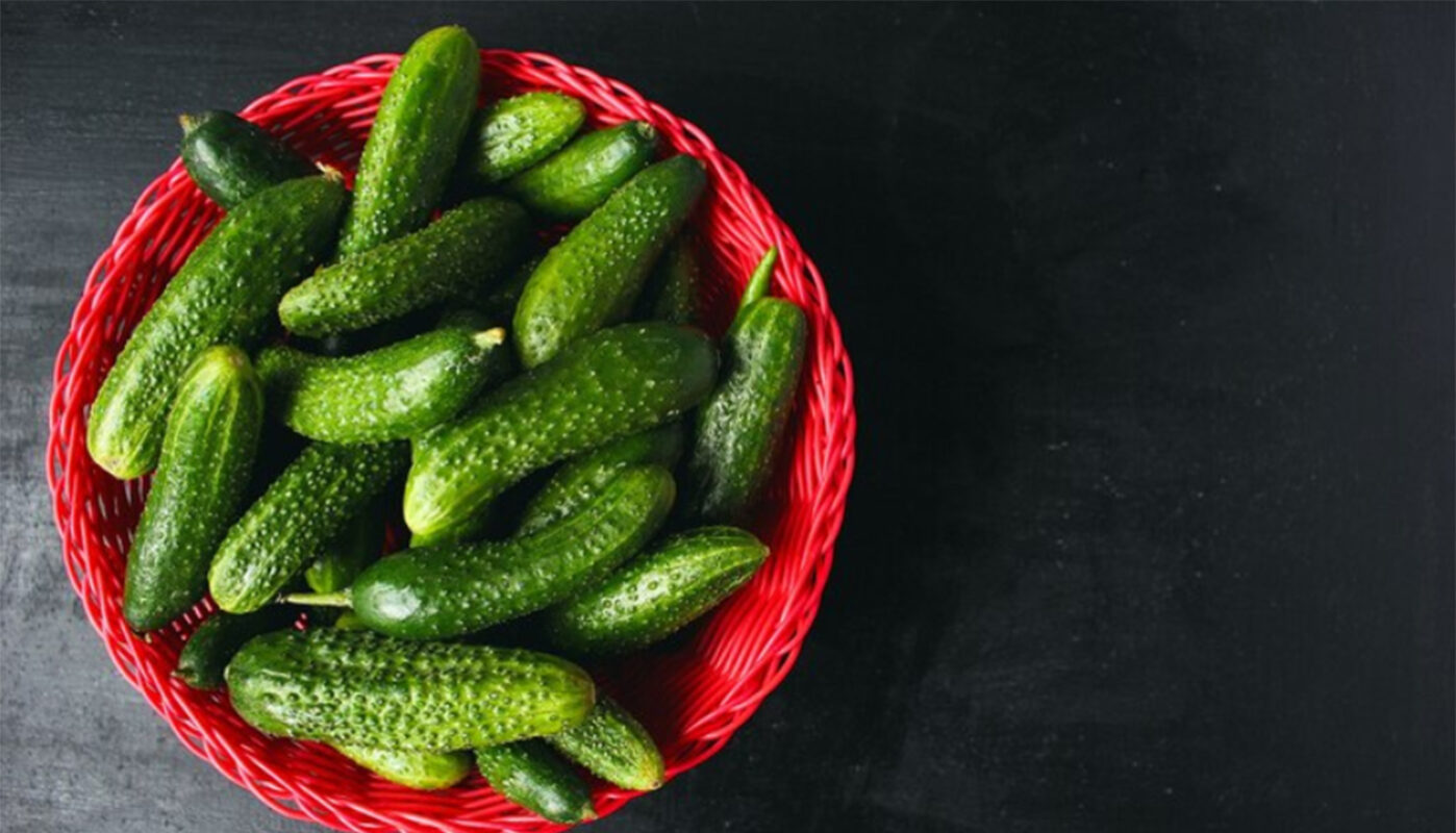 В Вологодской области подешевели огурцы