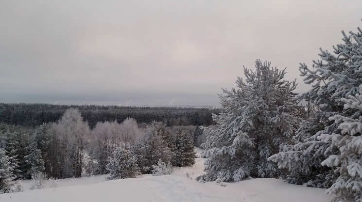 Зима еще вернется в Вологодскую область