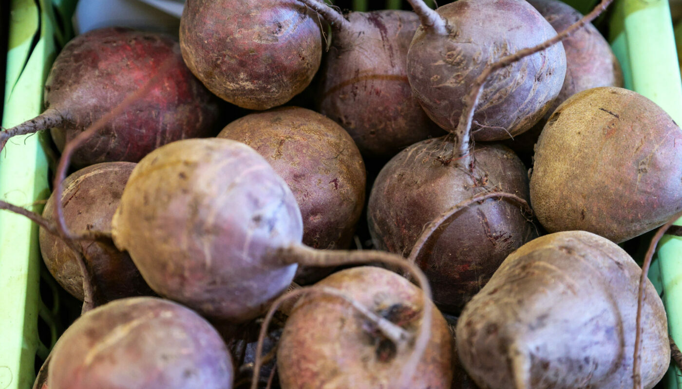 Сорта свеклы, которые порадуют обильным урожаем: наблюдения опытной дачницы