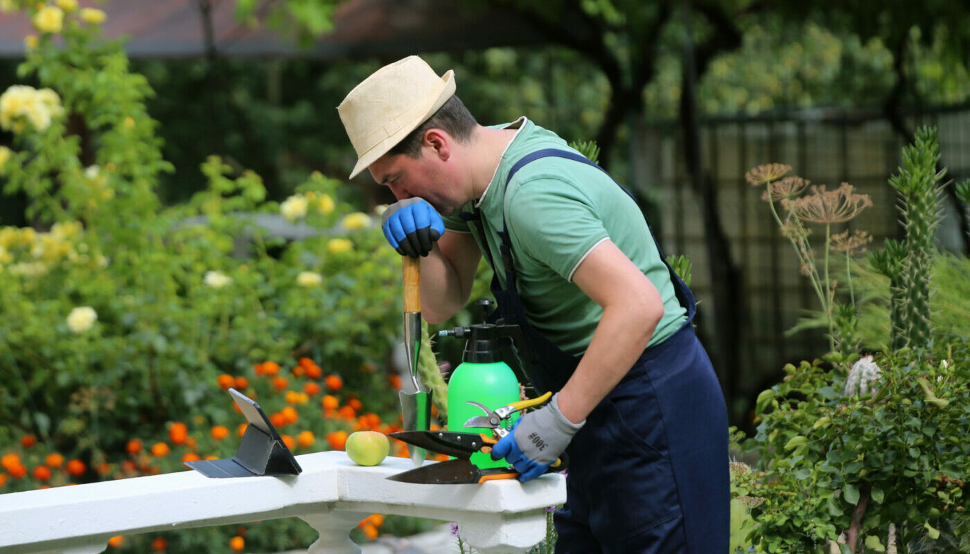 Дачный участок сразу расскажет о характерах его обитателей: на что обратить внимание, чтобы лучше узнать соседа по даче