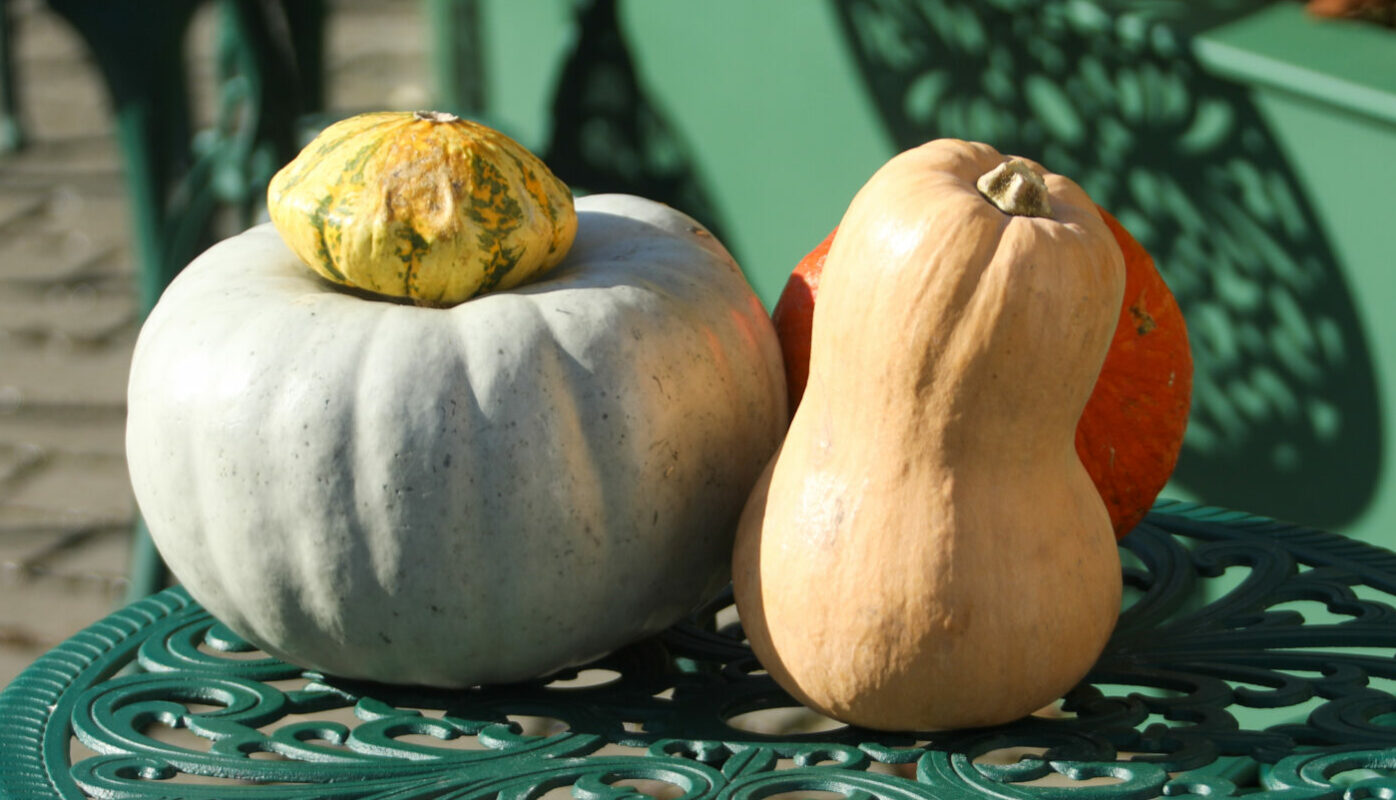 Готовим тыкву вкусно: полезный десерт сразу исчезнет со стола, а гости потребуют добавки