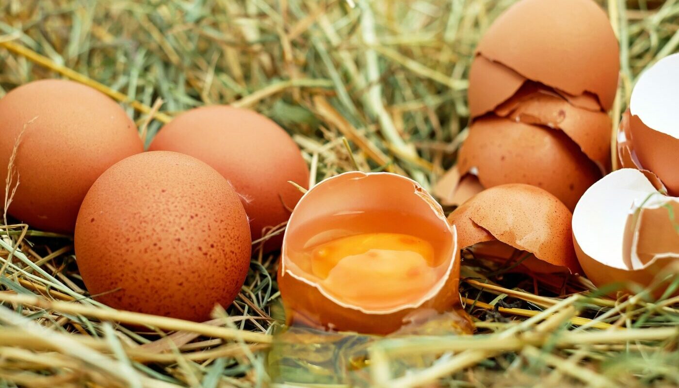 Яичная скорлупа на огороде: как правильно применять ценные пищевые отходы