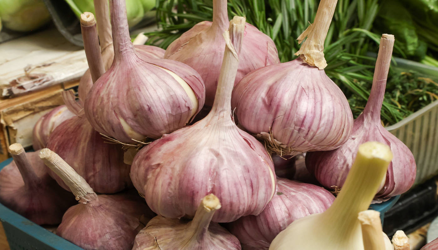 Апрельская подкормка чеснока: секреты гигантских головок, о которых молчат опытные огородники