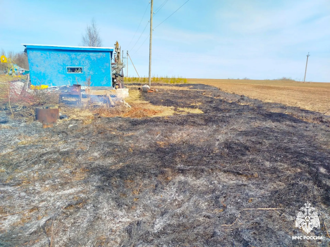 Вологжанина оштрафовали за разведение костра