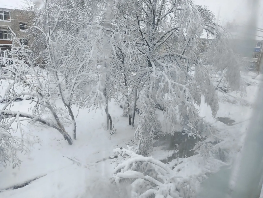 В Вологодской области появились сугробы в 27 сантиметров