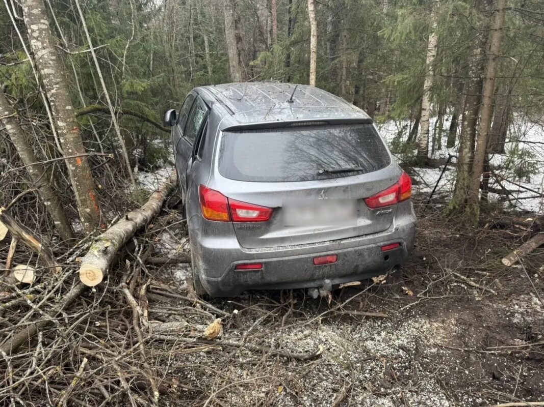 ️В Вологодской области водитель вылетел с трассы в лес