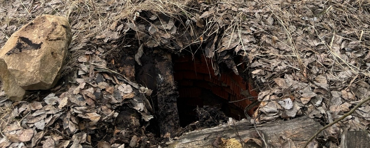 Еще один житель Вологодской области провалился в колодец