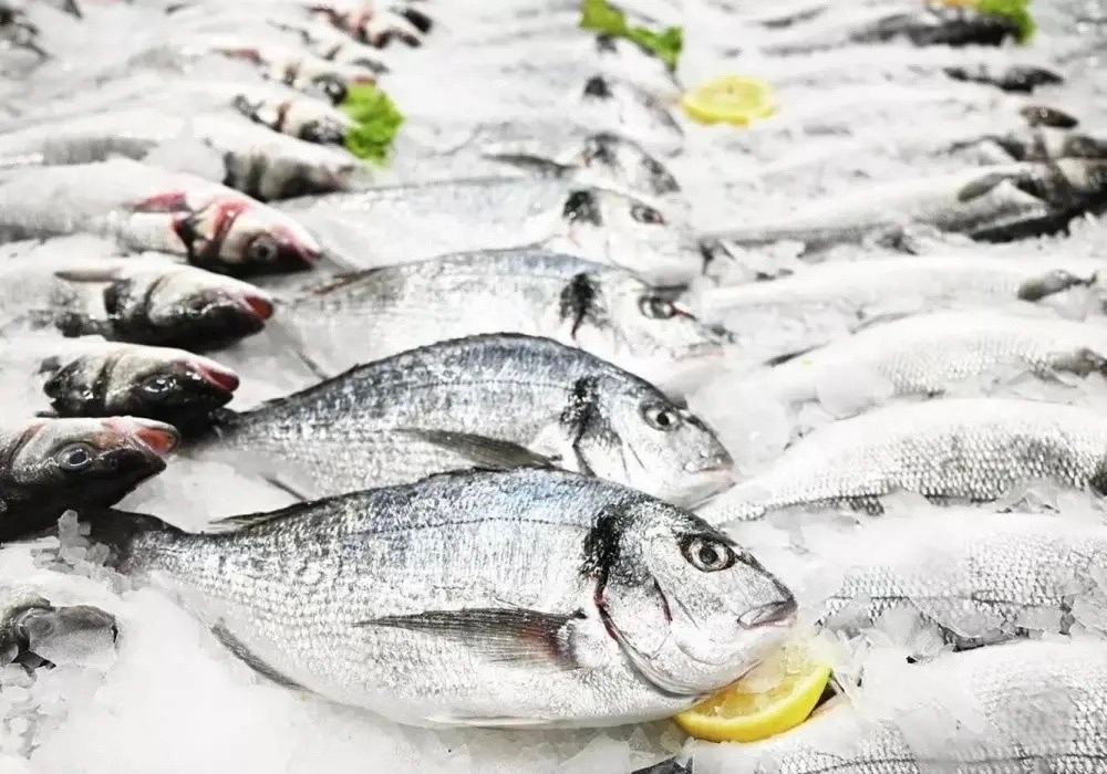 Череповецкие ученые создали систему быстрого выявления несвежей рыбы