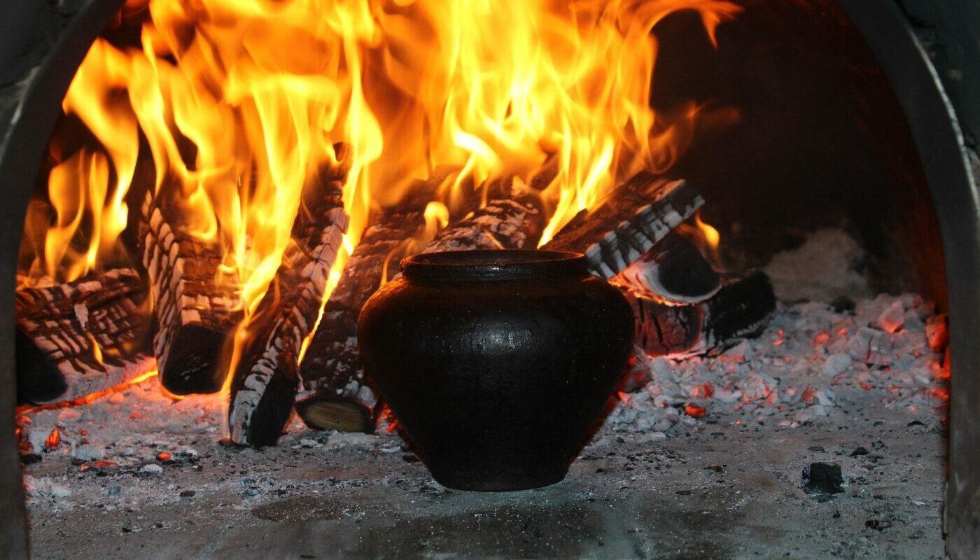 Древесная зола: основные ошибки дачников при использовании ценного удобрения